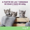 PIPETA VECTRA 3D ANTIPARASITARIA PARA GATO