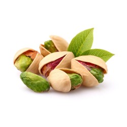 PISTACHO HEMBRA MACETA 3,5L