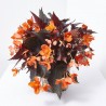 BEGONIA TUBERHYBRIDA 3L