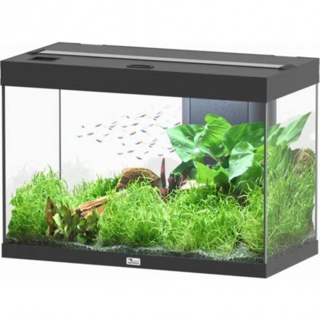 Acuario splendid ultra