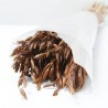 Avena sativa marrón