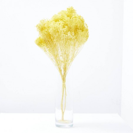 Brooms amarillo