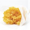 Brooms preservado naranja
