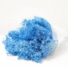 Brooms preservado azul