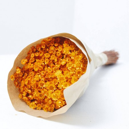 Glixia naranja