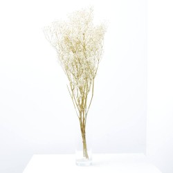 PANICULATA M-40 NATURAL FL