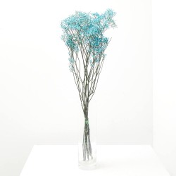 PANICULATA M-40 SALMON FL