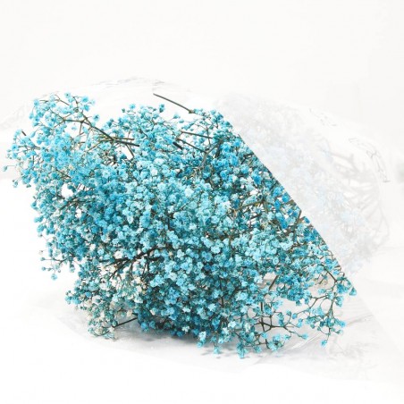 PANICULATA M-40 SALMON FL