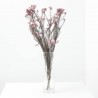 FLOR ARROZ PAQUETE FL