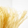 HELECHO BEIGE