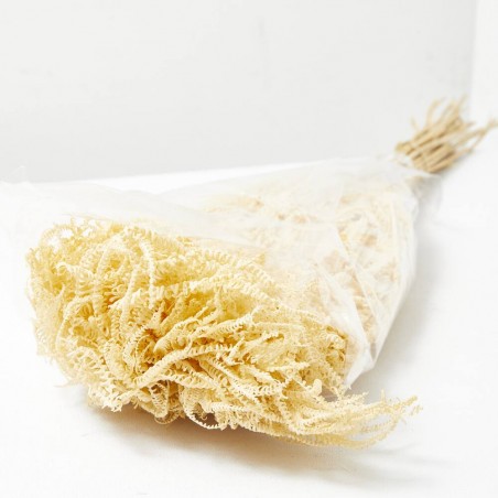 HELECHO BEIGE