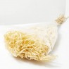 HELECHO BEIGE