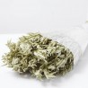 Avena sativa natural