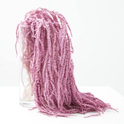 Amaranthus liofilizado rosa