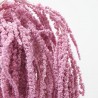 Amaranthus liofilizado rosa
