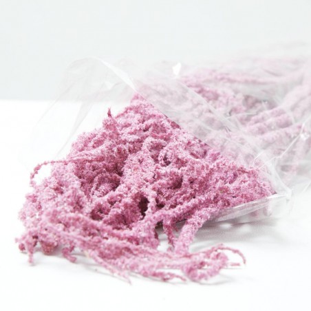 Amaranthus liofilizado rosa