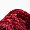 Amaranthus liofilizado rojo
