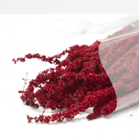 Amaranthus liofilizado rojo
