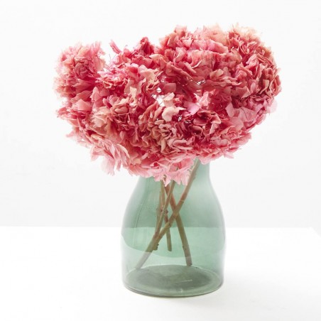 Hortensia preservada rosa intenso