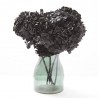 Hortensia preservada negra