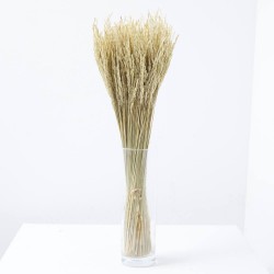 AVENA BLANCO MISTY 65CM