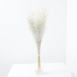 LINO PRESERVADO / SECO