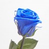 ROSA ETERNA AZUL 30CM