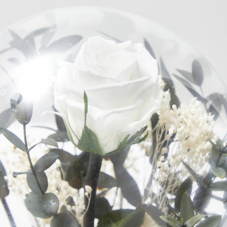 CÚPULA ROSA ETERNA BLANCA PEQUEÑA