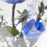 CÚPULA ROSA ETERNA AZUL GRANDE