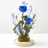 CÚPULA ROSA ETERNA AZUL GRANDE