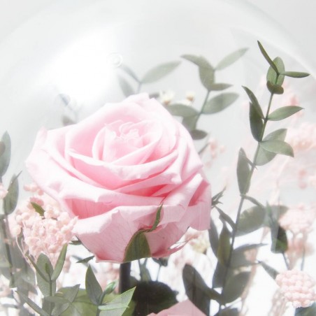 CÚPULA ROSA ETERNA ROSA SUAVE GRANDE