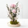 CÚPULA ROSA ETERNA ROSA SUAVE GRANDE