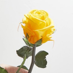 Rosa eterna amarilla