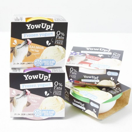 LOTE HELADOS YOWUP 3+1