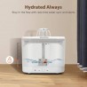 Fuente de agua smart