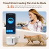 Fuente de agua smart