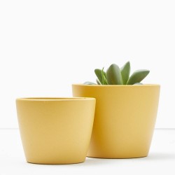 MACETERO NÚBIA CACTUS AMARILLO