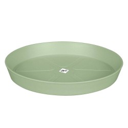 PLATO LOFT URBAN VERDE