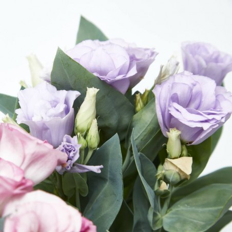 LISIANTHUS MACETA 13CM