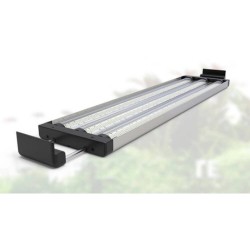 Pantalla led easyled rgbw ultra 1350