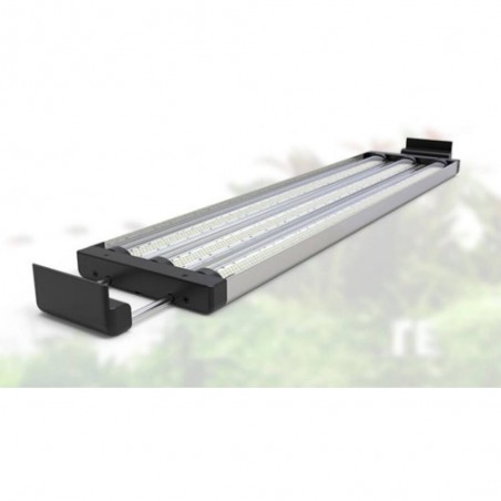 Pantalla led easyled rgbw ultra 1350