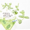 MENTA APPLETINI MACETA 14CM