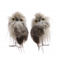 BUHO COLGADOR PLUMAS+ESPUMA 6X8X12CM