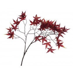 TALLO ARCE ROJO 104CM