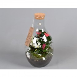 TERRARIO PLANTAS FLOR DIAMETRO 29CM ALTURA 52 CM