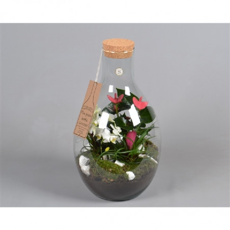 TERRARIO PLANTAS FLOR DIAMETRO 29CM ALTURA 52 CM