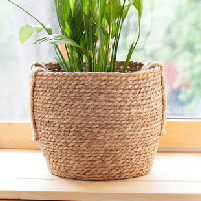 Ofertas accesorios plantas