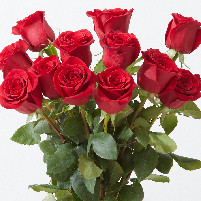 Flores para San Valentín