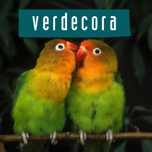 Pájaros Verdecora