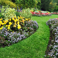 Rebajas jardín